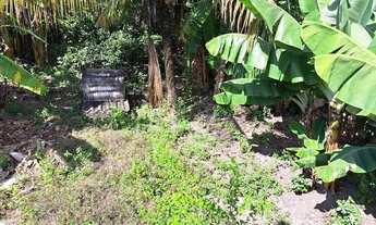 Imagem 4: Vendo a aceito propostas