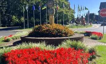 Imagem 4: Gramado - Casa Padrão - Moura