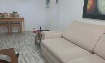 Imagem 6: Apartamento para aluguel, 1 quarto, 1 suíte, 1 vaga, Vila Mathias - Santos/SP