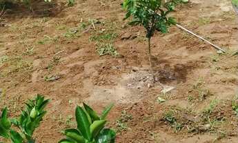 Imagem: Chácara no rio uru em Heitoraí