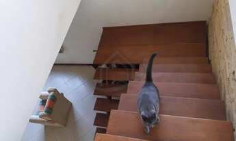 Imagem 7: Sobrado para Venda - 900m², 4 dormitórios, sendo 1 suites, 2 vagas - Lageado