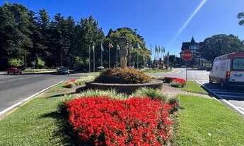 Imagem 5: Gramado - Casa Padrão - Moura