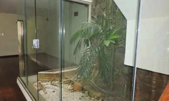 Imagem 6: Araçatuba - Casa - São João