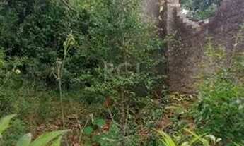 Imagem 7: Terreno para Venda - 356.4m², 0 dormitórios, Coronel Aparício Borges