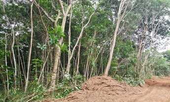 Imagem 3: Lotes em Abrantes - Oportunidade!