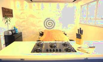 Imagem 7: Apartamento próximo ao Ibirapuera