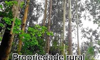 Imagem 2: Propriedade Rural em Atalanta SC