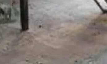 Imagem 2: Casa ampla no Centro de Três Rios RJ