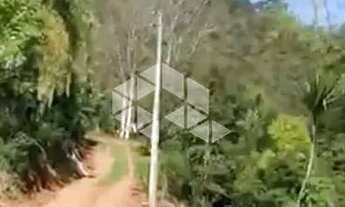 Imagem 5: Chácara com 5 hectares no Morro da Canastra em Farroupilha com casa, árvores frutíferas, á