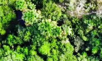 Imagem 3: Vendo sitio com Igarapé