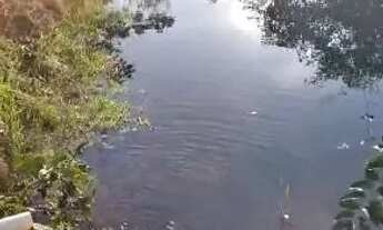 Imagem 4: Fazenda Goiás - Mara Rosa