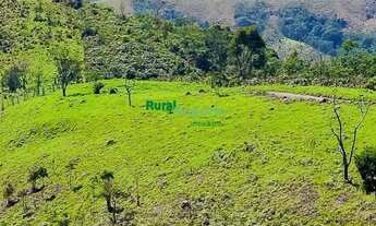 Imagem 2: SÍTIO SEM BENFEITORIAS Á VENDA EM GUARATINGUETÁ-SP
