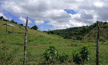 Imagem 7: Vendo excelente fazendinha em Nazaré das farinha