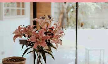 Imagem: Procuro MENINAS para dividir apartamento