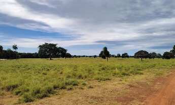 Imagem 5: Fazenda 137 Alqueires na Lavoura!