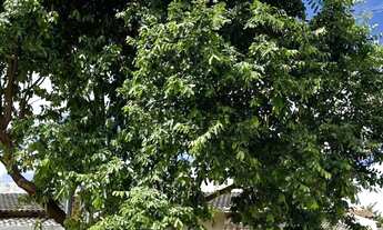 Imagem 2: Casa Térrea 2 quartos, sendo 1 suíte no ForteVille, Goiânia