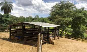 Imagem 6: Fazendinha 3.3ha, com lagoa, dois poço de peixe, água por gravidade com grande volume