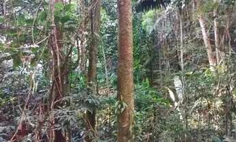 Imagem 4: Terreno à venda na Estrada do Morgado, Vargem Grande, Rio de Janeiro - RJ