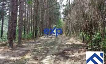 Imagem: Sítio com 9,09 alqueires - Mairiporã/SP