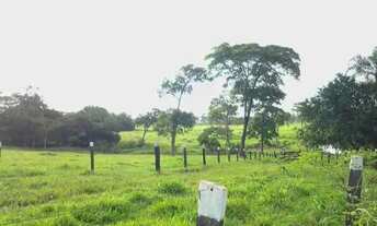 Imagem 7: Vendo Faz de 42 alqueires Porangatu