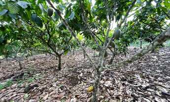 Imagem 5: Vendo maraviloso sitio em valenca