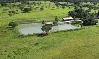 Imagem 7: Fazenda de 159 hectares em Buritis, Minas Gerais