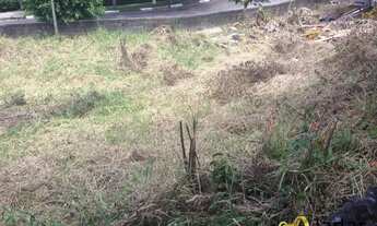 Imagem 6: TERRENO NO ALTO DOS PINHEIROS