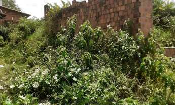 Imagem: Vendo este terreno localizado em umbaúba