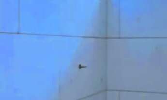 Imagem 7: Casa á venda com 2 quartos sendo 1 suíte no Bom Retiro em Campo Grande - MS