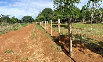 Imagem 2: Chácaras de 5.000 m2, Planas, Cerca tratada, em Taboquinha a 30 klm de Braslandia