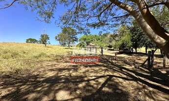 Imagem 7: Chácara 7.97 alqueires (38,57 hectares) Cromínia - GO