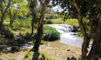 Imagem 2: Fazenda com cana próximo Uberlândia