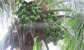 Imagem 5: ESPETACULAR: Fazenda com vista para o mar, à venda em Conde-BA, Barra do Itariri - 2 quart