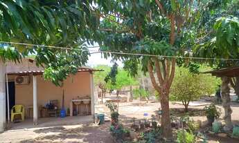 Imagem 5: Vendo sítio ou troco por casa na cidade Cuiabá