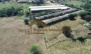 Imagem 6: Sitio com granjas, 200 mil aves