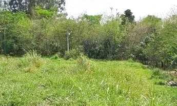 Imagem 4: TERRENO - JARDIM JUREMA - SP