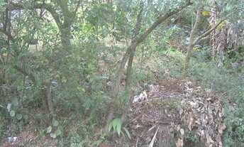 Imagem 6: Lote em Rua José de Moraes Costa - Granja Viana - Cotia/SP