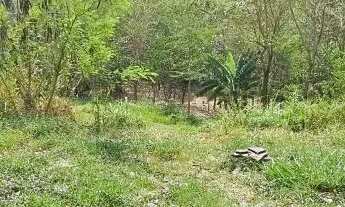 Imagem 5: TERRENO - JARDIM JUREMA - SP