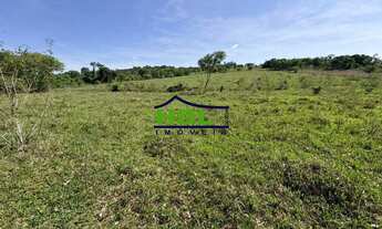 Imagem 4: Professor Jamil - Chácara 3,92 Hectares. Oportunidade