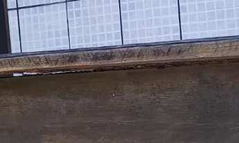 Imagem 6: Aluguel de casa riacho doce