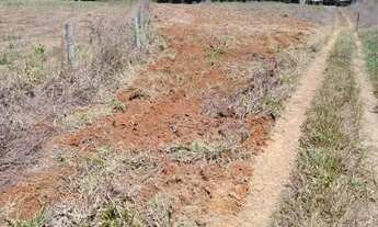 Imagem: Parte de uma chácara whatsapp