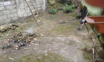 Imagem 2: Muriqui com vista do mar