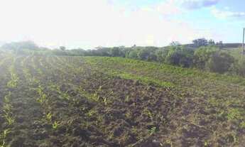 Imagem 2: Lindo Sítio de 37 hectares.!!! st483