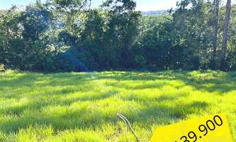 Imagem 5: ÚLTIMO SÍTIO DE 2 HECTARES COM RIACHO EM GRAVATAÍ