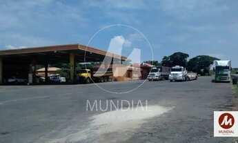 Imagem 5: Empresa Montada/Ponto (empresa montada