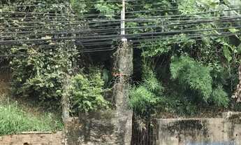 Imagem: AREA - BUTANTÃ - SP