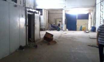 Imagem 2: GALPÃO - BUTANTÃ - SP