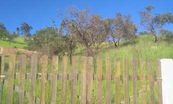 Imagem: Terreno para venda com 2500 metros quadrados