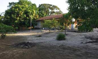 Imagem 6: Vendo sítio Chácara com venda por R$150.000