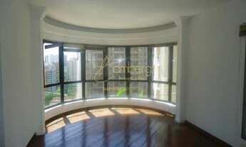 Imagem 3: Amplo apto próximo ao Shopping Jardim Sul. Confira